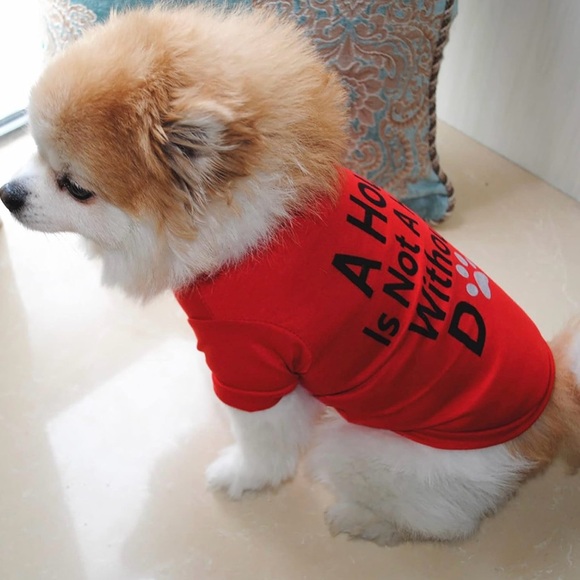 Cotton Vest for small Puppy or cat. Size Small - Picture 3 of 5